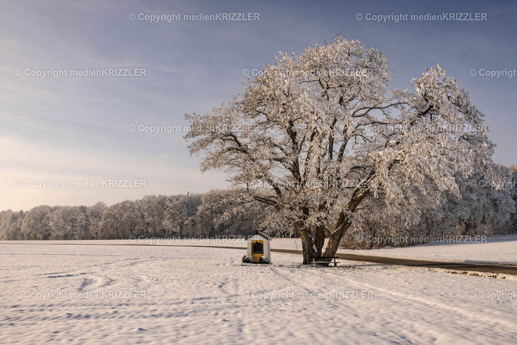 _J3A9665 | medienkrizzler - Realisiert mit Pictrs.com