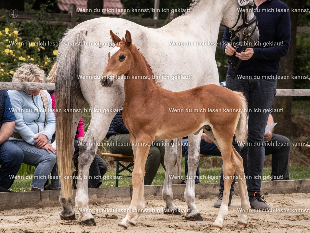 A10I9561 | photographylinaismer - Realisiert mit Pictrs.com