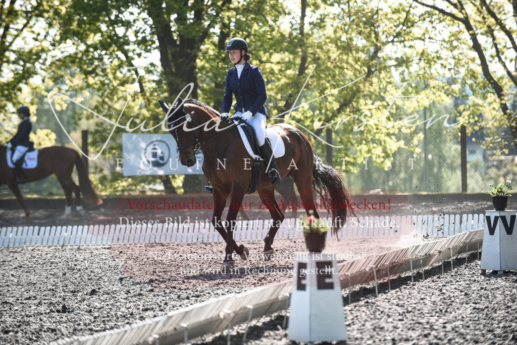 DSC_8791 | Pferde- und Turnierfotografie in Westsachsen. Pferdeportraits, Auftragszeichnungen und intuitive Kunst.