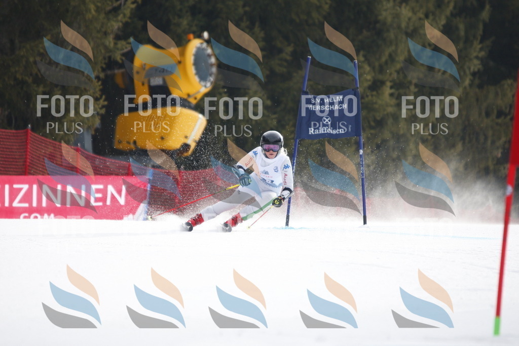 D4884 | holidayphoto