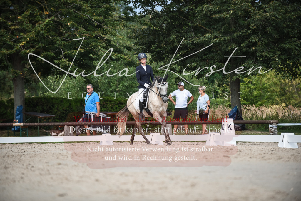 DSC_8679 | Pferde- und Turnierfotografie in Westsachsen. Pferdeportraits, Auftragszeichnungen und intuitive Kunst.