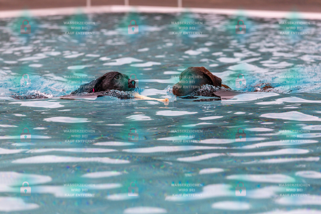 _HP_6301_fullo | HetPix, HetPix Fotodesign, Fotografie, Fotodesign, Webshop, Sportfotografie, Portraitfotografie, Onlineshop, Sportfotografie, Polch, Motorsportfotografie, Eventfotografie