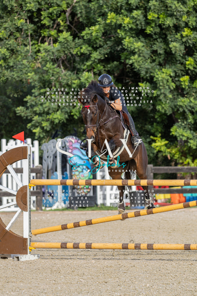 IMG_4717 | s-jay-photography - Realisiert mit Pictrs.com