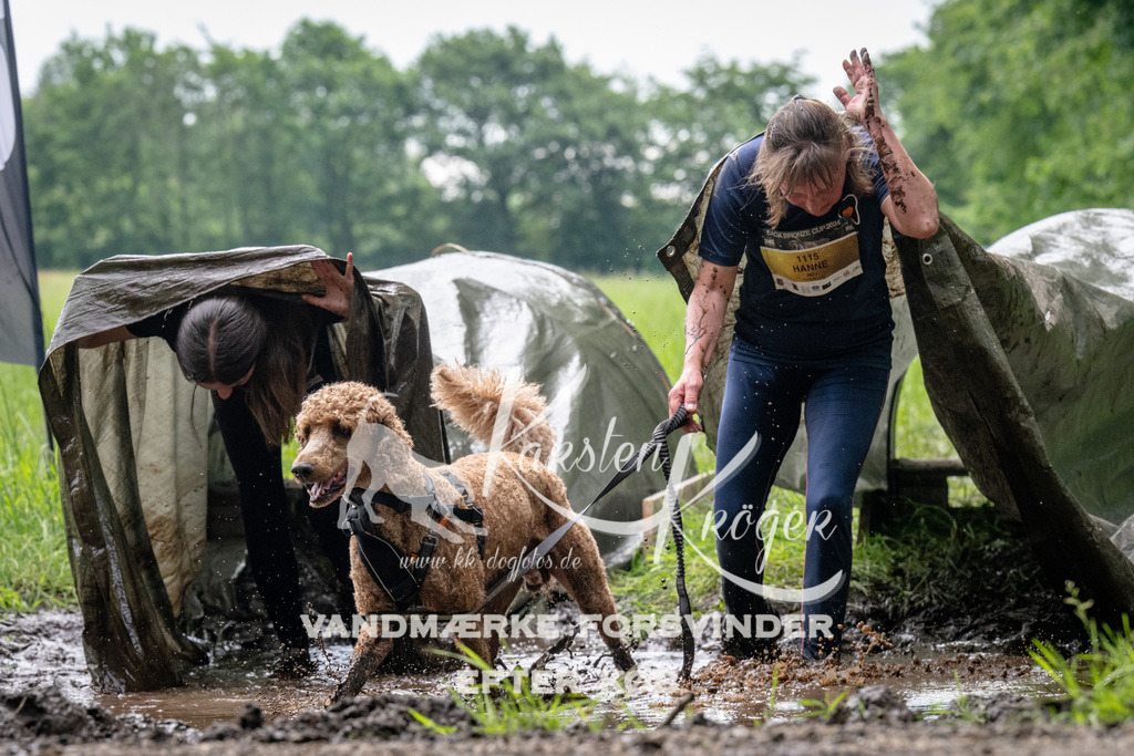 0950_ZZ91990 | kk-dogfotos