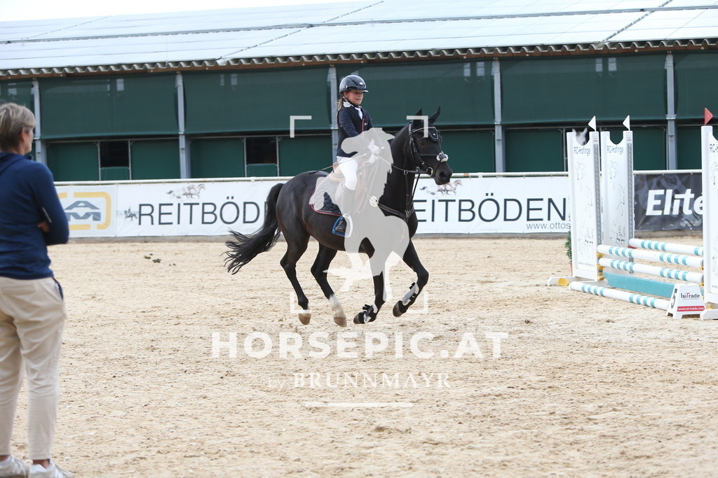 DL2Q2699 | Willkommen bei Brunnmayr - Design & Fotografie – Ihrem Spezialisten für Reitturniere und Pferdeveranstaltungen in Oberösterreich, Salzburg und Bayern! Seit über 17 Jahren sind wir leidenschaftlich dabei.
