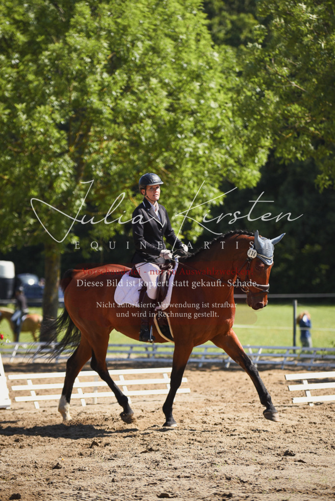 DSC_0431 | Pferde- und Turnierfotografie in Westsachsen. Pferdeportraits, Auftragszeichnungen und intuitive Kunst.
