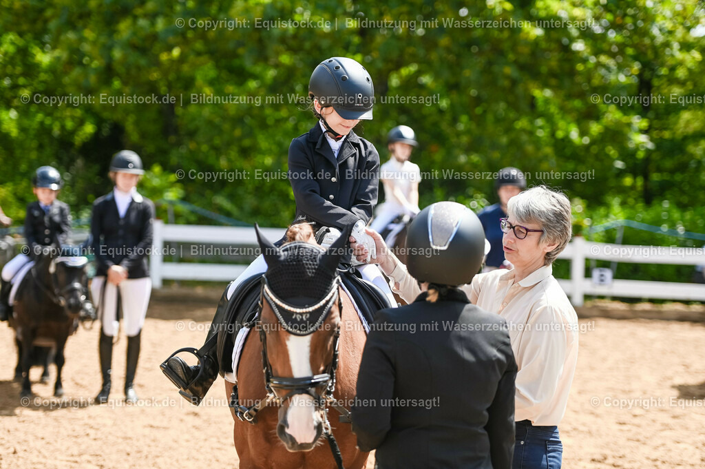 20230716_11_Führzügel-WB_0241 | equistock