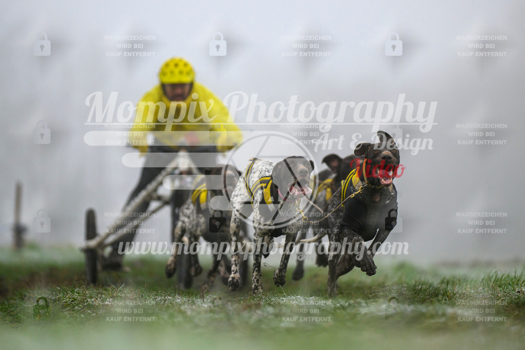 MompixPhotography_CDF2023_FFST_Di_Kart-8 | PayLife