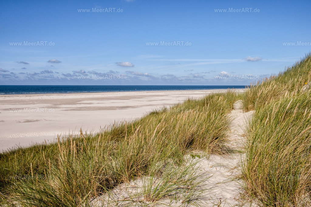 Amrum | Eine grandiose InselAuszeit auf Amrum mit einer ganz besonderen Überraschung - Realisiert mit Pictrs.com