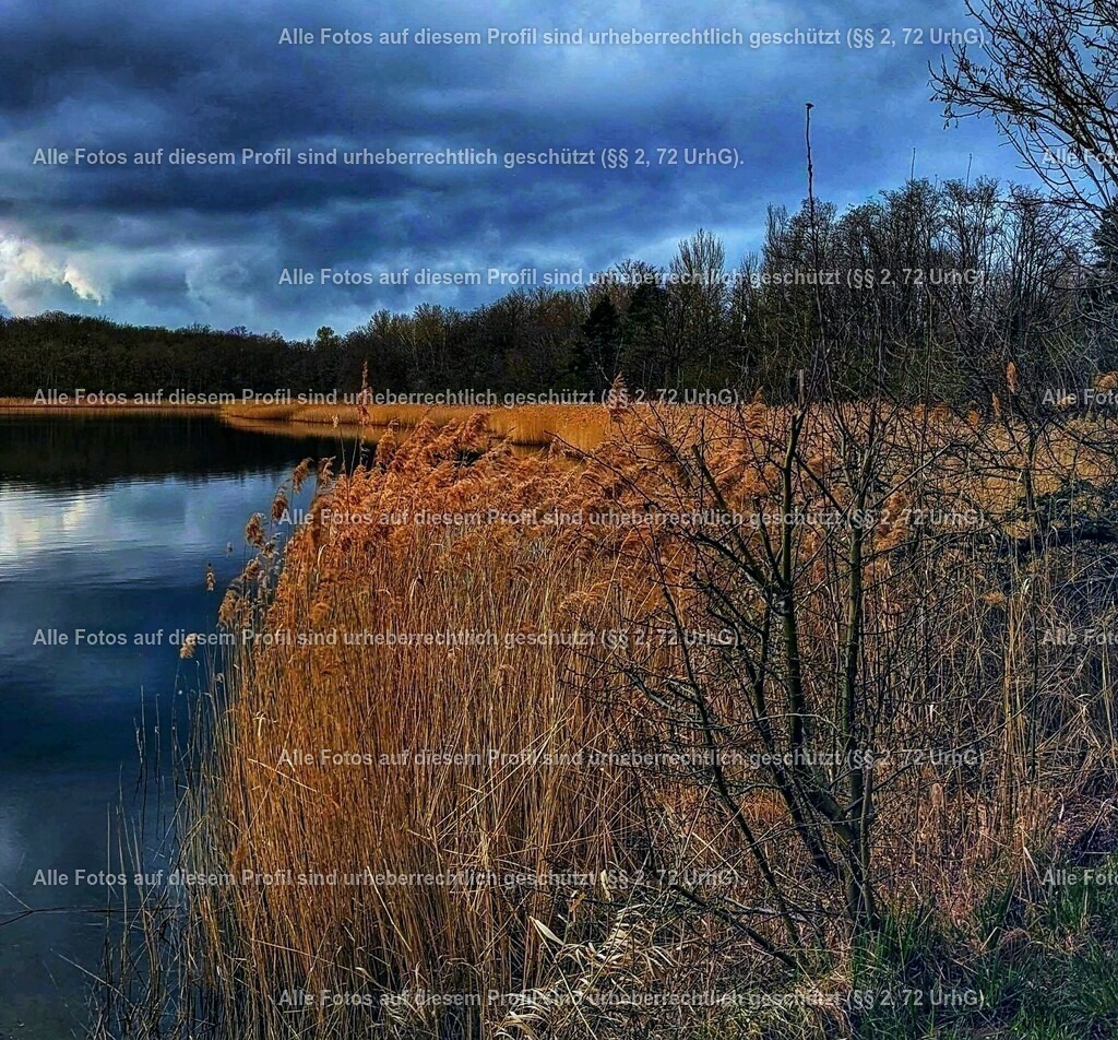 PXL_20230327_153703194-PANO-01_2-01_4 | krollfotografie - Realisiert mit Pictrs.com