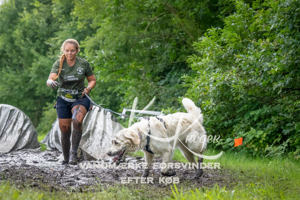 1136_ZZ93706-Bearbeitet | kk-dogfotos