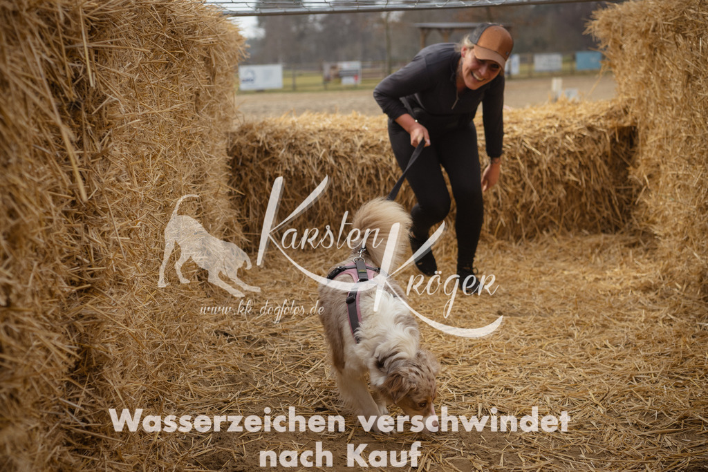1138_ZZ94776 | kk-dogfotos