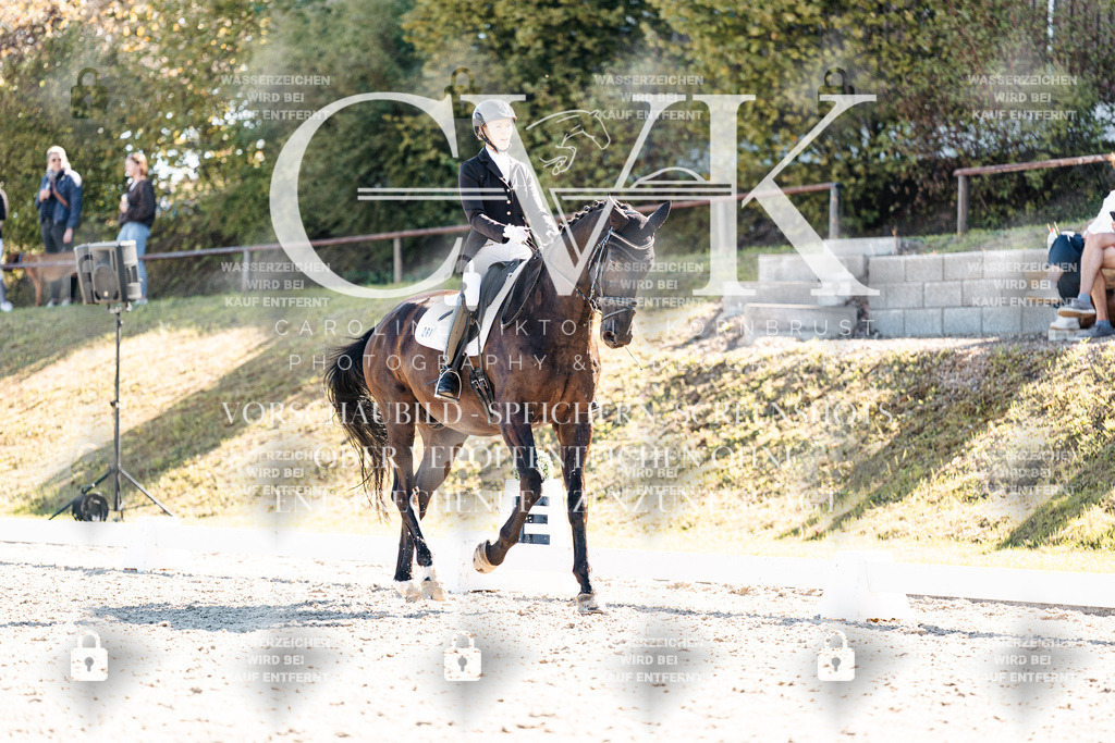 CK908908 | Turnierfotografie Pferdefotografie Trier Rheinland-Pfalz Pferdesport Reitsport Tierfotografie Sportfotografie Pferdevideo Pferdevideografie Equestrianvideography equestrianphotography  - Realisiert mit Pictrs.com