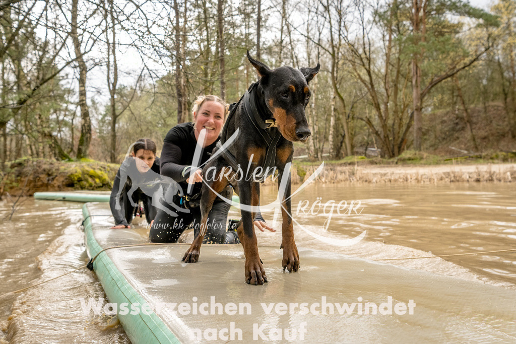 1322_ZZ90311-Bearbeitet | kk-dogfotos