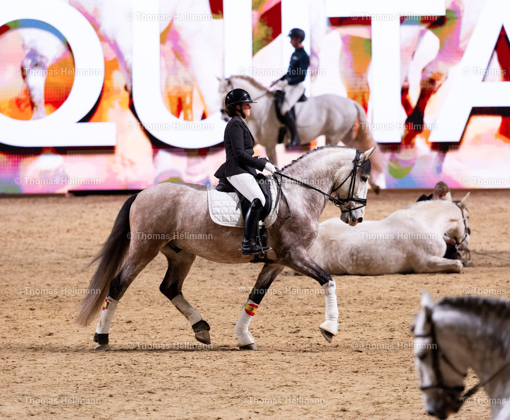 TH_Yeguada Torrehermosa_26910 | EQUITANA 2025 am 09.03.25 in Essen