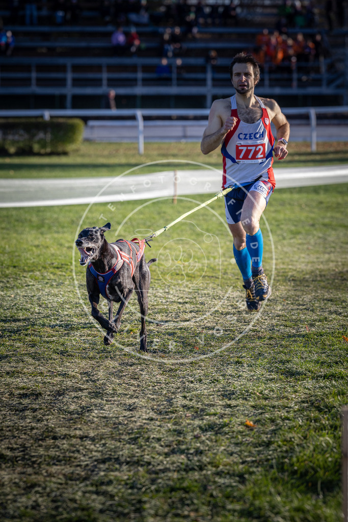 CaniXpix_DV3A2681 | Hundefotografie, Tierfotograf, Pfotenfotografie, Fotoshooting Hund, Hunde Portrait, Hundesport, Hundeportraits, Heideshooting, Hunde, Sportfotograf, Hundefotograf, Turnierhundsport, THS,  - Realisiert mit Pictrs.com