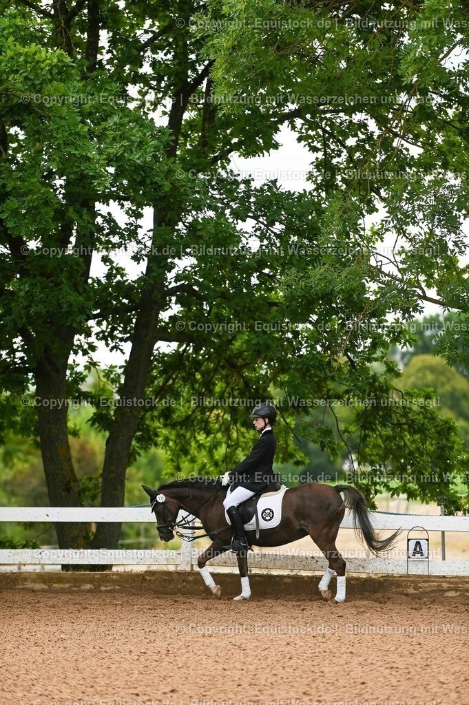20230716_10-2_Reiter-WB Schritt - Trab - Galopp_0071 | equistock