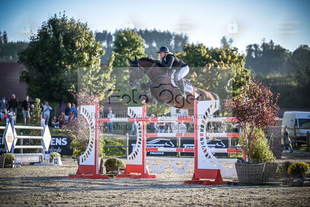DOS_2348 | Entdecke hochwertige Reitturnierfotos von Foto Oger. Professionell, emotional und authentisch – jetzt Lieblingsmomente im Shop bestellen. - Realisiert mit Pictrs.com