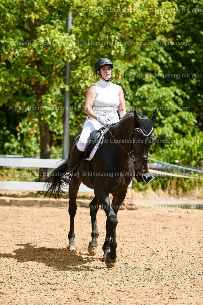 20230715_05_Dressurprüfung Kl.A++_0145 | equistock