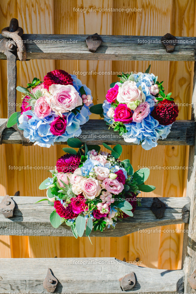 1010 | Fotografie Constance Gruber - Realisiert mit Pictrs.com