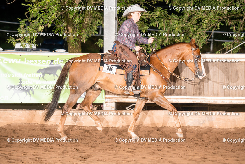 Erbach Tag 1-1205 | dv-media-shop - Realisiert mit Pictrs.com