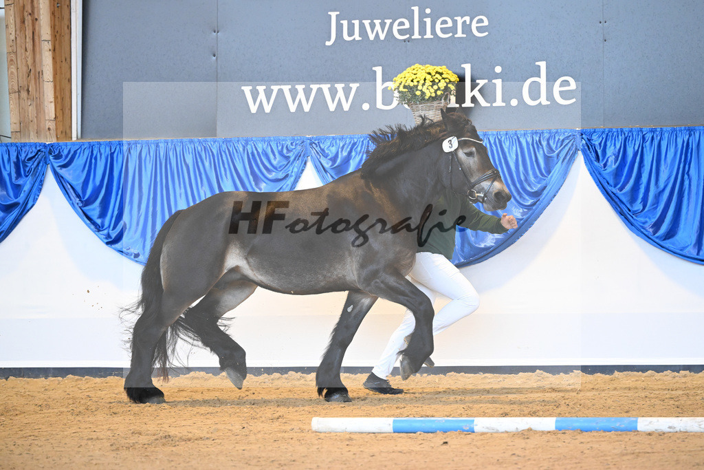 Kat-Nr. 3 Filippa_ZG Nahnes-Honig_53220900 | hf-fotografie - Realizzato con Pictrs.com
