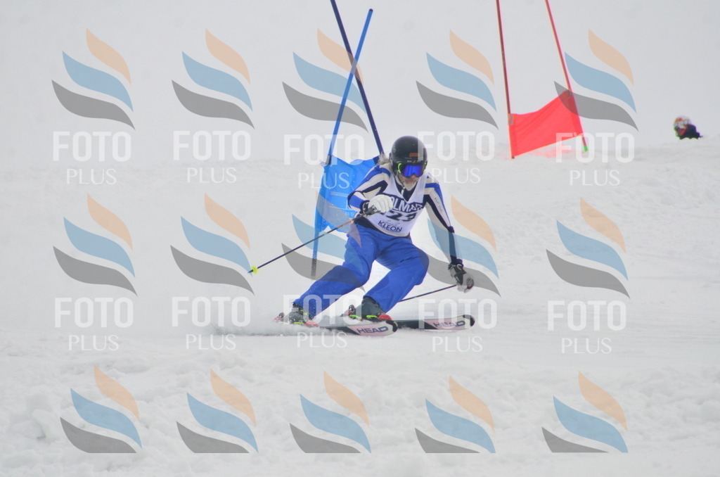 A6019 | holidayphoto