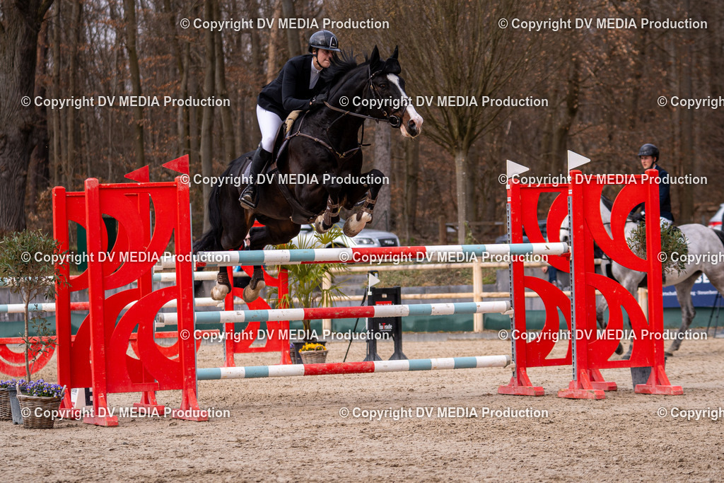 Kranichstein Tag 2-2151 | dv-media-shop - Realisiert mit Pictrs.com