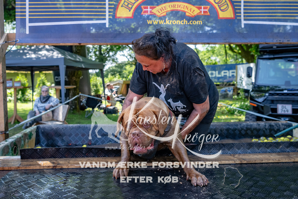 1333_ZZ91679 | kk-dogfotos