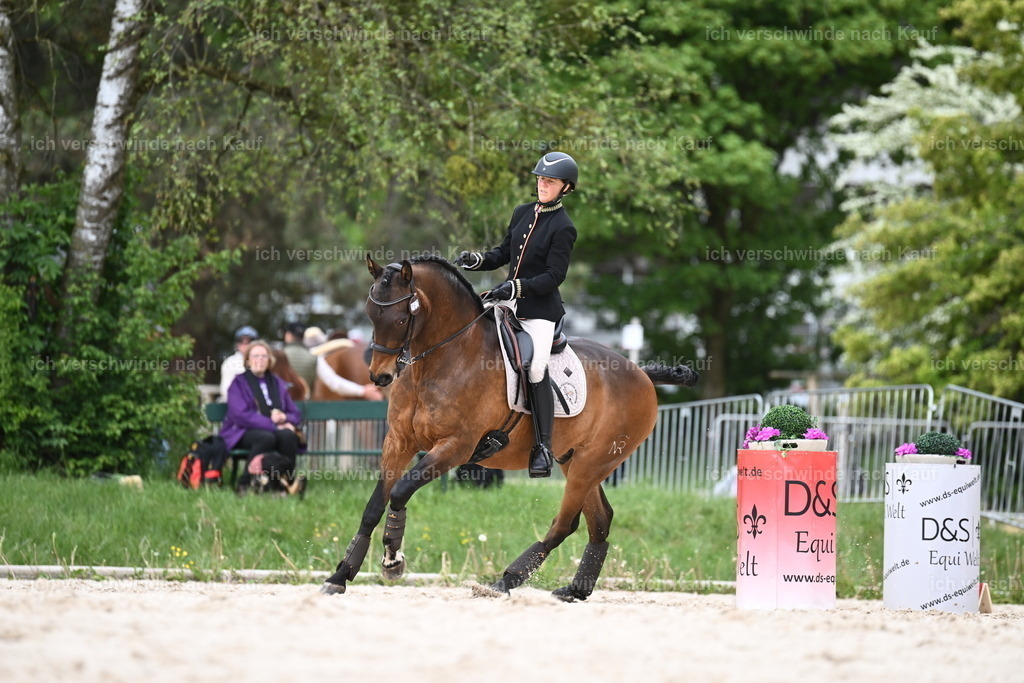 PI26_ST_Sara_Landvogt226_2775.JPG | working equitationturnier fotograf videograf stoibphotography marixx film working equitation deutschland reitsport turnierfotografie eventfotografie equestrian events