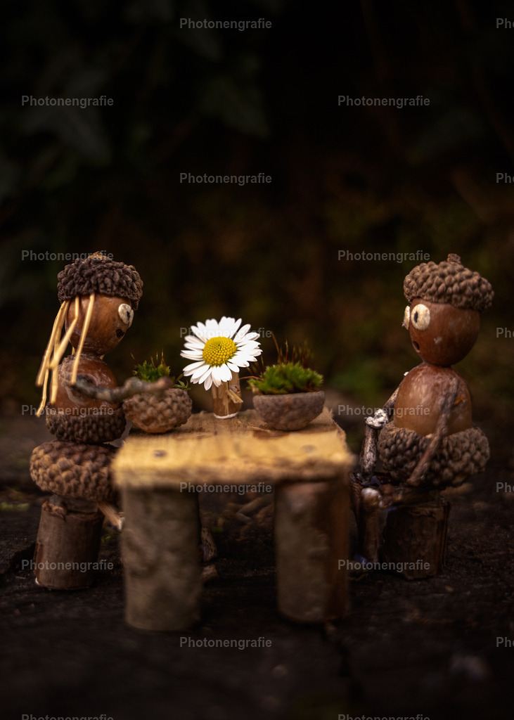 Manni_Buch-12 | Photonengrafie´s Shop - Realisiert mit Pictrs.com