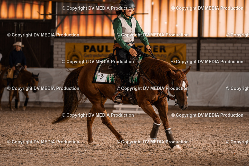 ZH300318 | dv-media-shop - Realisiert mit Pictrs.com