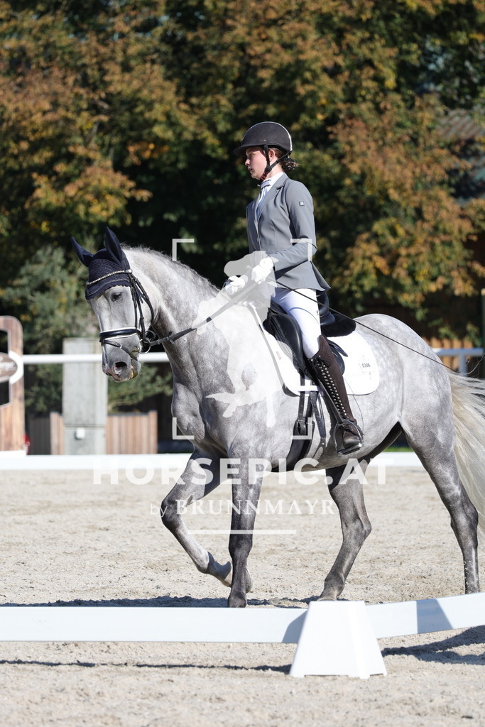 0P6A4892 | Willkommen bei Brunnmayr - Design & Fotografie – Ihrem Spezialisten für Reitturniere und Pferdeveranstaltungen in Oberösterreich, Salzburg und Bayern! Seit über 17 Jahren sind wir leidenschaftlich dabei.