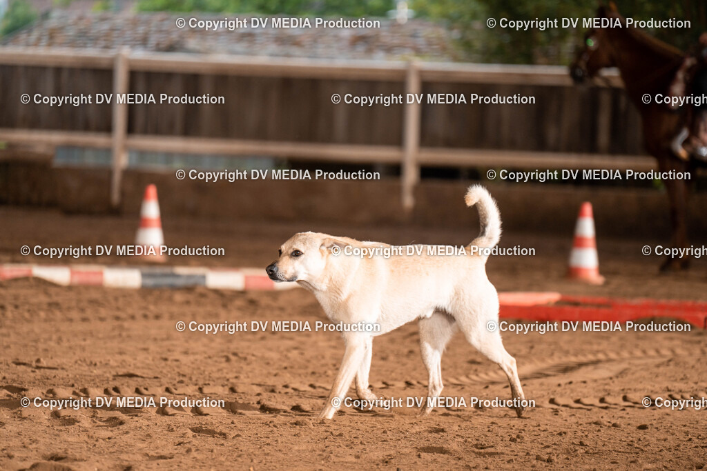 Erbach Tag 1-28 | dv-media-shop - Realisiert mit Pictrs.com