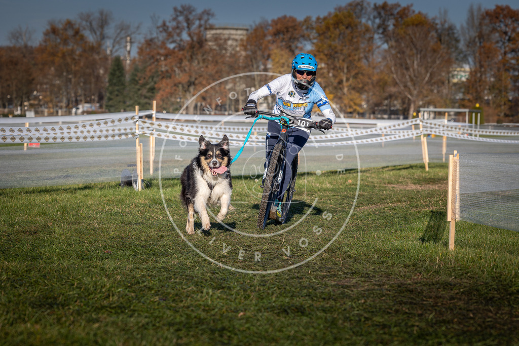 CaniXpix_0L8A4150 | Hundefotografie, Tierfotograf, Pfotenfotografie, Fotoshooting Hund, Hunde Portrait, Hundesport, Hundeportraits, Heideshooting, Hunde, Sportfotograf, Hundefotograf, Turnierhundsport, THS,  - Realisiert mit Pictrs.com
