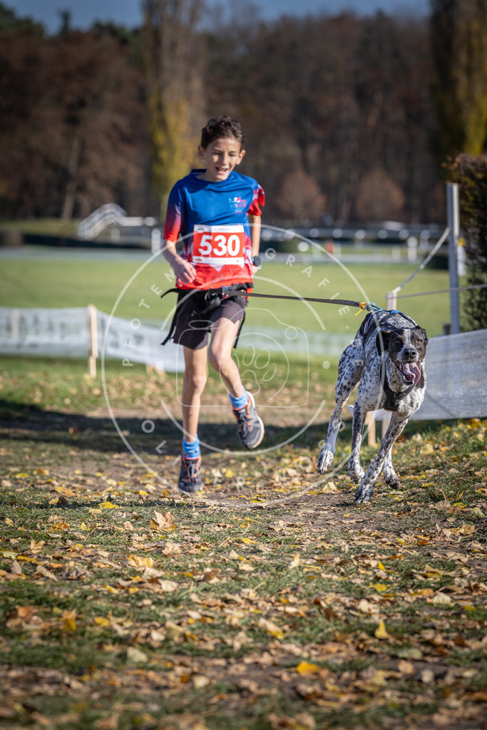 CaniXpix_DV3A8236 | Hundefotografie, Tierfotograf, Pfotenfotografie, Fotoshooting Hund, Hunde Portrait, Hundesport, Hundeportraits, Heideshooting, Hunde, Sportfotograf, Hundefotograf, Turnierhundsport, THS,  - Realisiert mit Pictrs.com