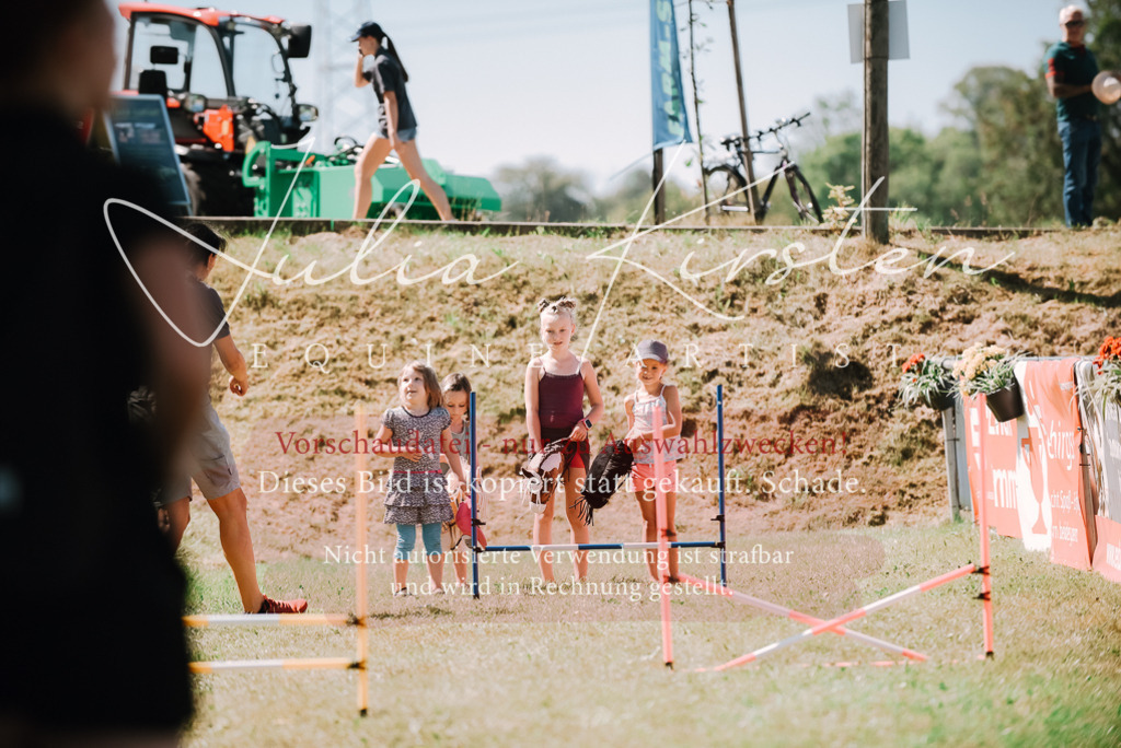 DSC_3003 | Pferde- und Turnierfotografie in Westsachsen. Pferdeportraits, Auftragszeichnungen und intuitive Kunst.