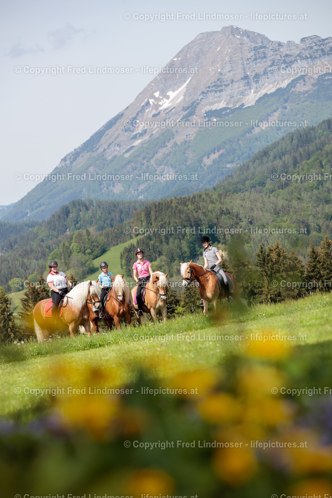 Otscher  (62) | Fotos und Fotoprodukte - Realisiert mit Pictrs.com