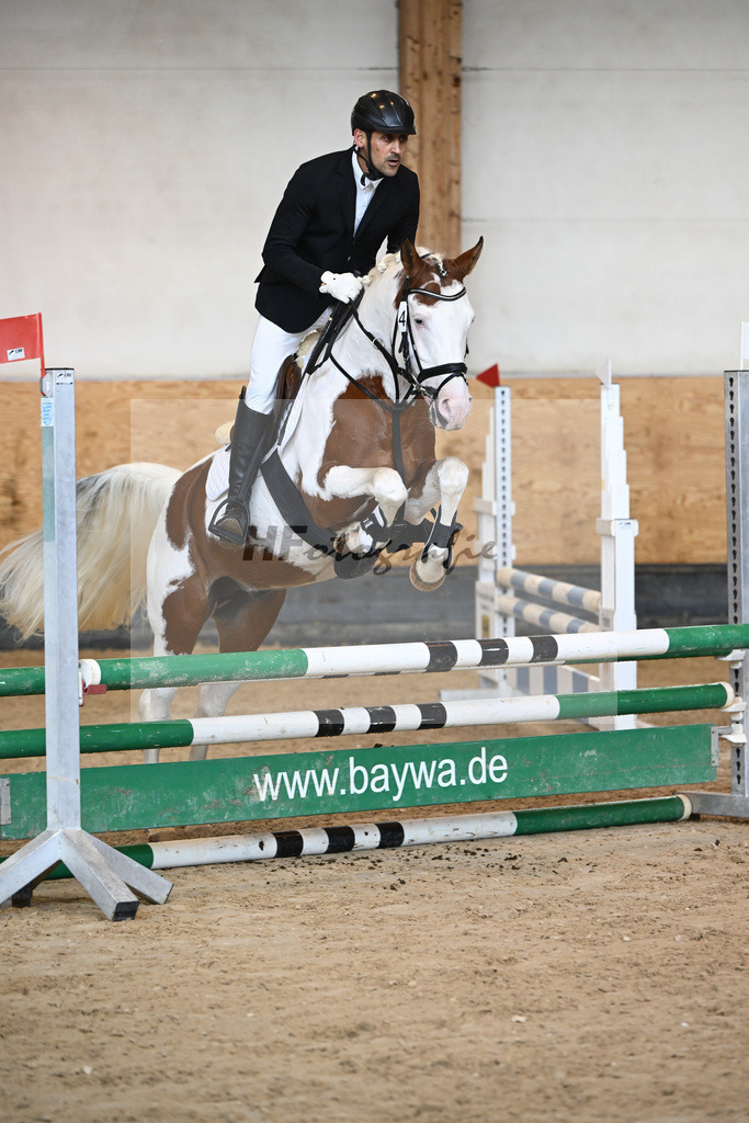 Kat-Nr. 4 Shalimar Coloured Phenom enal_Hoffmann_44240606 | hf-fotografie - Realisiert mit Pictrs.com