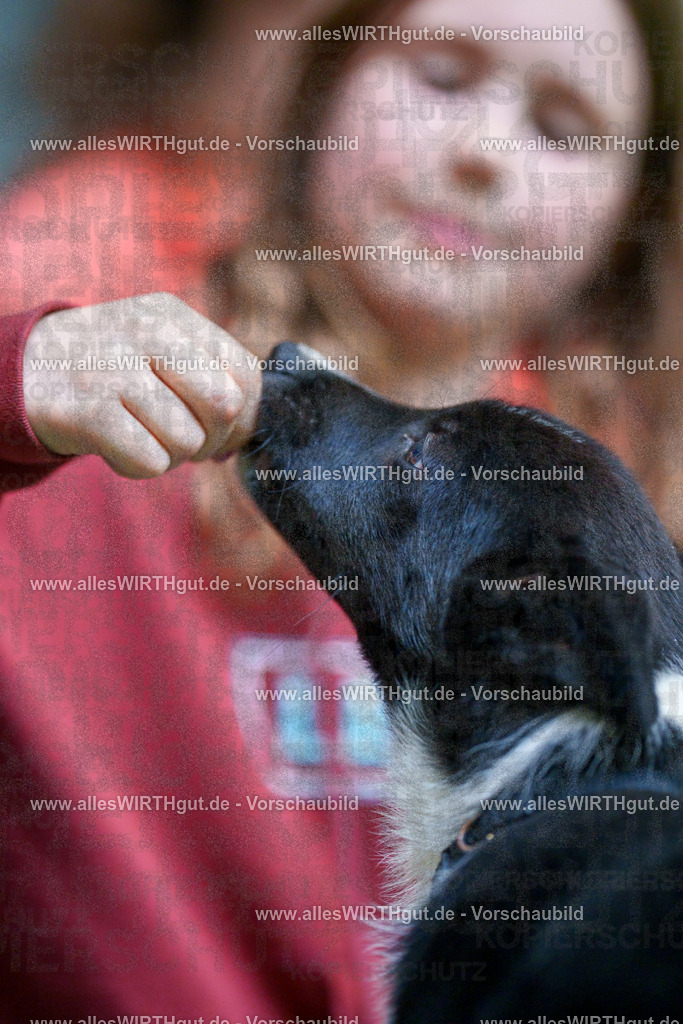 @allesWIRTHgut_Tierfotografie - www.allesWIRTHgut.de - 2604251312-7R503663 | Professionelle Tierfotografie in Mönchengladbach von Daniel Wirth (allesWIRTHgut). Liebevolle & natürliche Bilder von Hunden & Katzen für unvergessliche Erinnerungen.