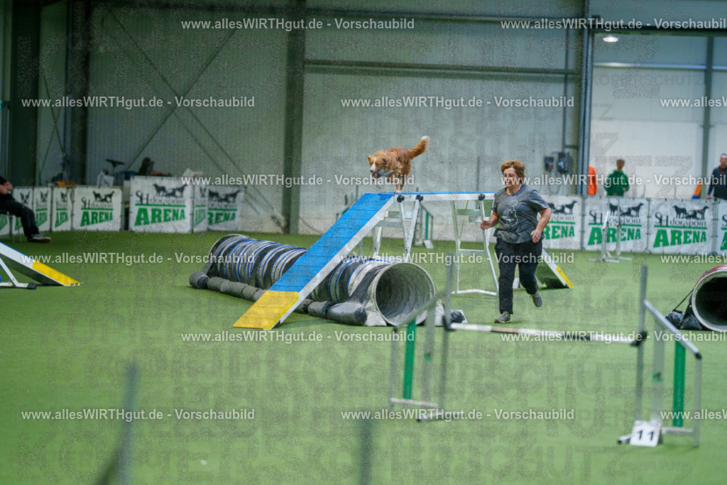 @allesWIRTHgut_Tierfotografie - www.allesWIRTHgut.de - 2604250824-7R506472 | Professionelle Tierfotografie in Mönchengladbach von Daniel Wirth (allesWIRTHgut). Liebevolle & natürliche Bilder von Hunden & Katzen für unvergessliche Erinnerungen.