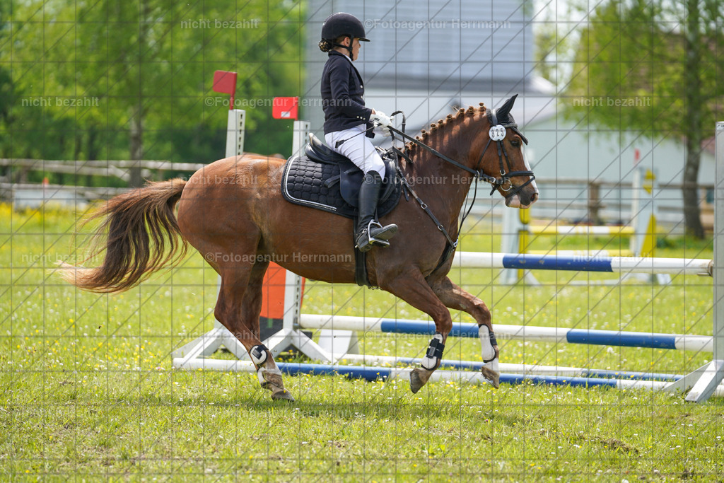 20230521-FAH06263 | Frühjahrsturnier, Landsberg am Lech, 2023, Reitclub Landsberg, Turnierbilder, Fotos Turnier Landsberg, Fotoagentur Herrmann, Turnierfotografen Bayern, Reitsport Fotograf, Pferde Fotograf