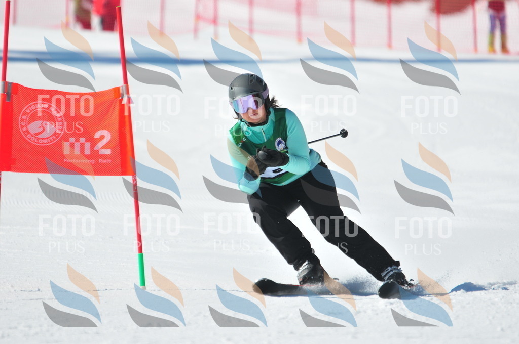 C4100 | holidayphoto