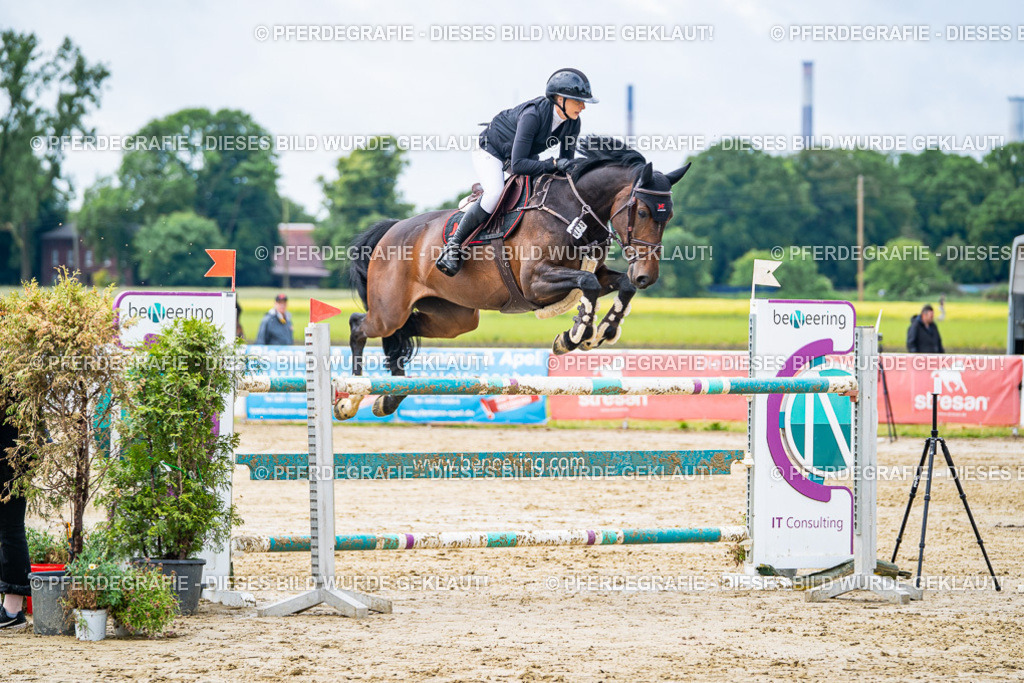 DSC03919 | Pferdegrafie