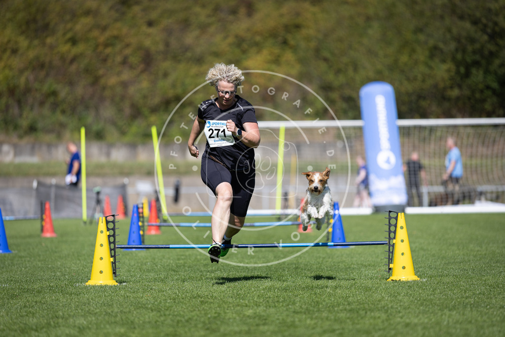 Pfotenfotografie_DV3A6837 | Hundefotografie, Tierfotograf, Pfotenfotografie, Fotoshooting Hund, Hunde Portrait, Hundesport, Hundeportraits, Heideshooting, Hunde, Sportfotograf, Hundefotograf, Turnierhundsport, THS,  - Realisiert mit Pictrs.com