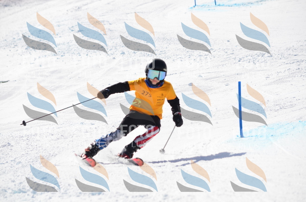 C8615 | holidayphoto