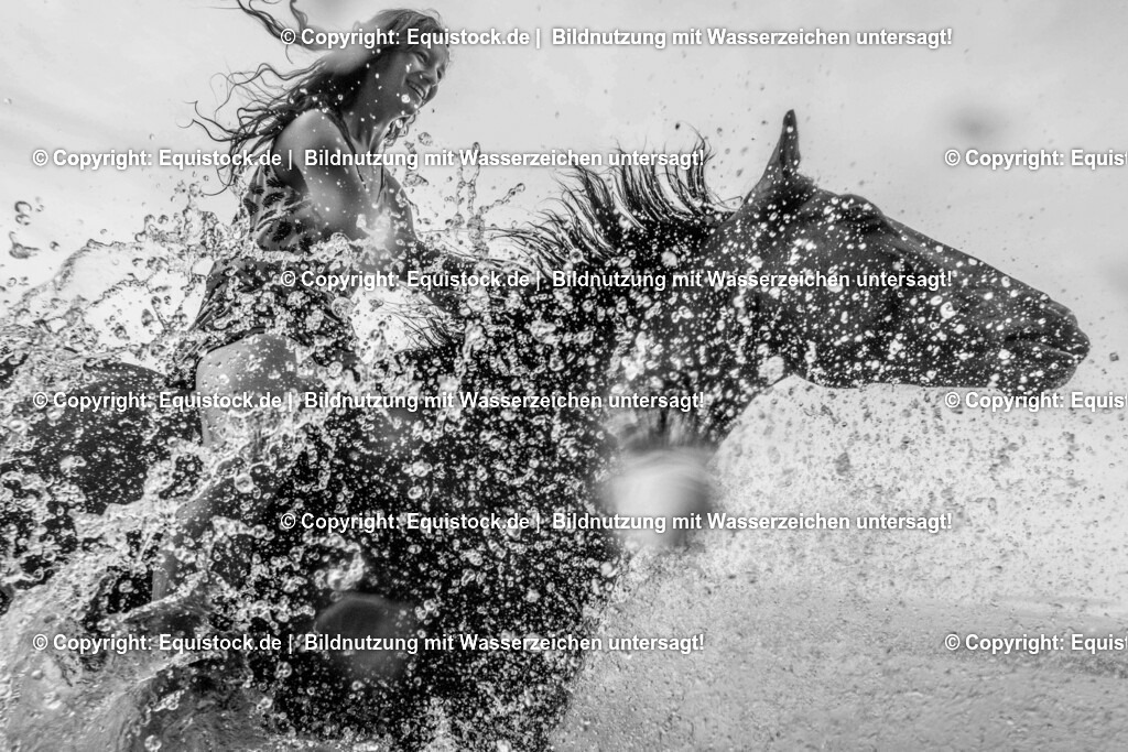 TS_20170616_Pferd_im_Wasser_0008 1 | Foto: Thomas Hartig