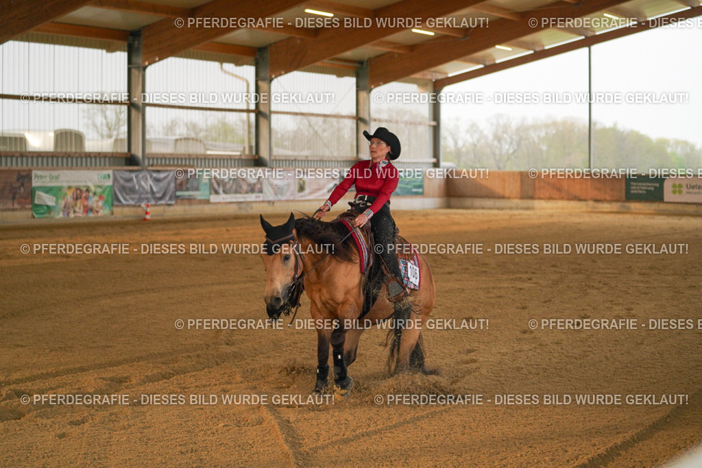 DSC08587 | Pferdegrafie