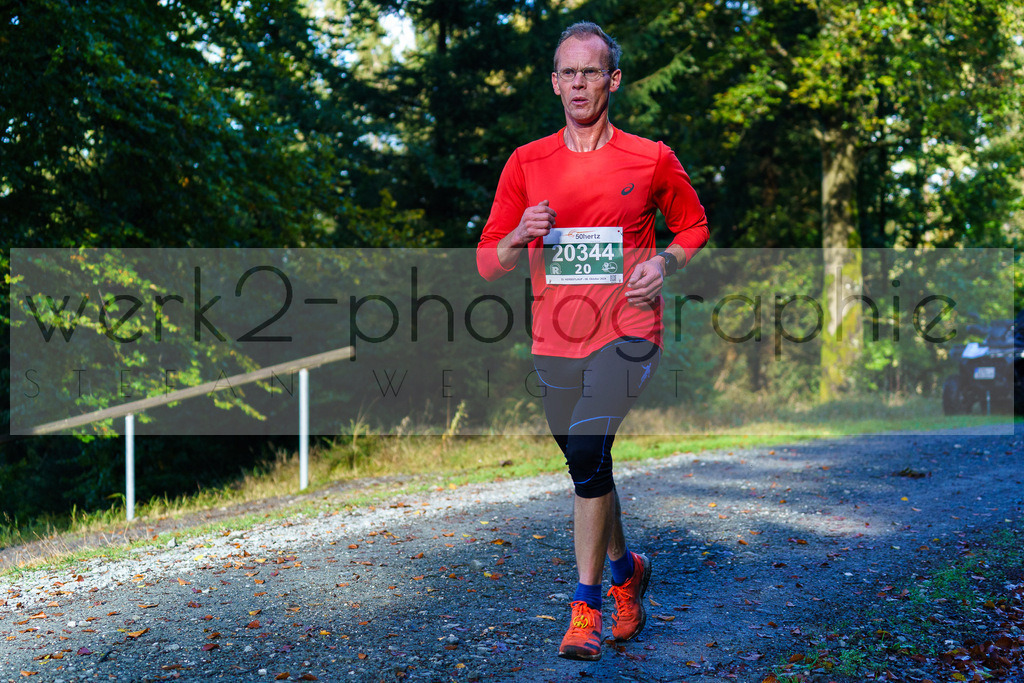 Herbstlauf 2024 | Rennsteig-Herbstlauf von Neuhaus am Rennweg nach Masserberg am 6. Oktober 2024