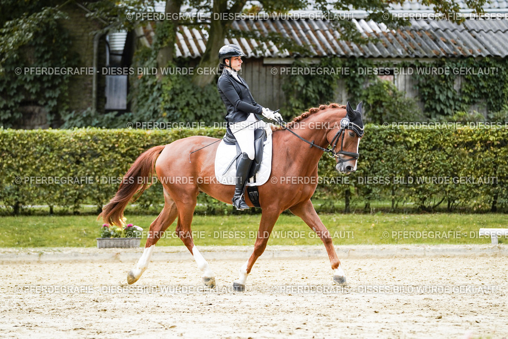 DSC08023 | Pferdegrafie